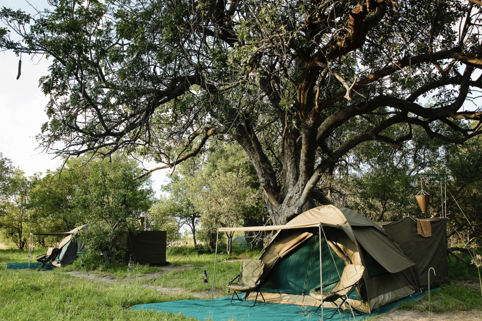 Moremi Island Experience Afri Tourism Collection Botswana mini dome tent mobile safari exterior tent